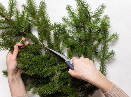 Craft from a live coniferous branch.Close-up of hands. New Years Eve master class on creating decorations from natural nobilis. DIY. Cut off branches for decorationの写真素材
