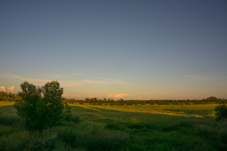 Sunset over green fieldの写真素材