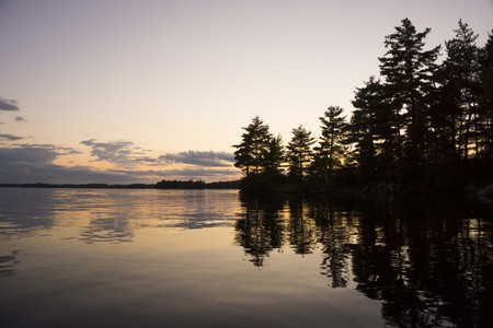 Tree reflection on lake at sunsetの写真素材
