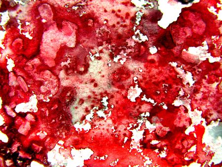 Red Watercolor Abstract の写真素材