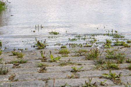 Natural Water and Grass Landscape Ostfriesland