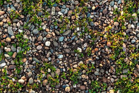 Small smooth waterworn pebbles, stones for use decor and garden landscaping.