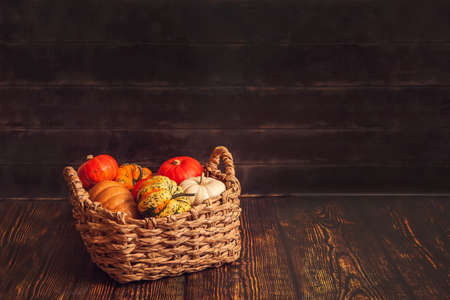 Basket with different varieties of pumpkin on a wooden background.の写真素材