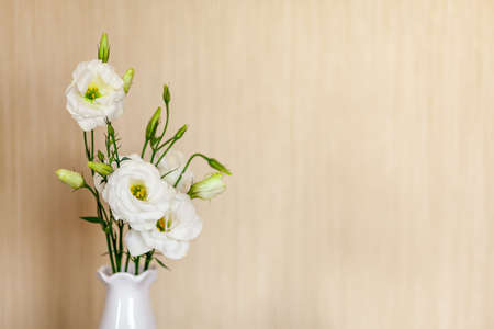 White flowers Eustoma or Lisianthus in vase on wooden background with copy space.の写真素材