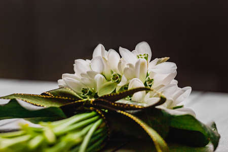 Bouquet of snowdrops lies on dark background, an unusual view from below, Galanthus nivalis close up...