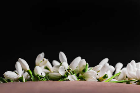 Bouquet of snowdrops lies In a craft envelope on a wooden background an unusual view from below, Galanthus nivalis close up macro shoot.の写真素材