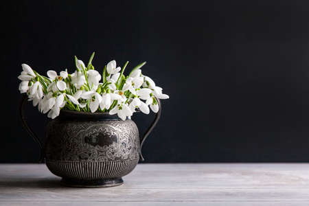 Bouquet of white snowdrops Galanthus nivalis in vintage retro jar on dark background with copy space.の写真素材