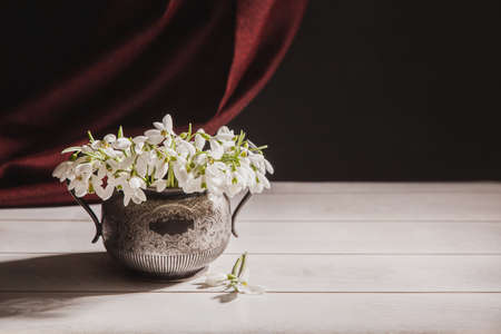 Bouquet of white snowdrops Galanthus nivalis in a vintage retro jar on a dark tones with red fabric on the background.の写真素材
