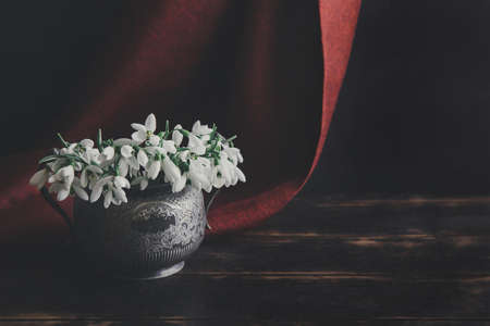 Bouquet of white snowdrops Galanthus nivalis in a vintage retro jar on a dark tones with red fabric on the background.の写真素材