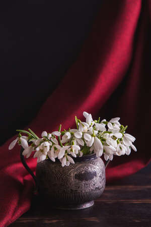 Bouquet of white snowdrops Galanthus nivalis in a vintage retro jar on a dark tones with red fabric on the background.の写真素材