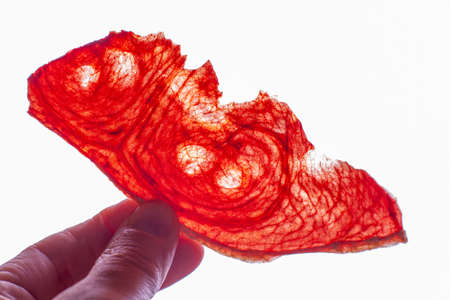 Slices of dried watermelon in wooman hand in the light.