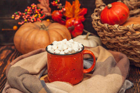 Autumn still life on a wooden background with cocoa mug and marshmallows, checkered scarf, pumpkins,...