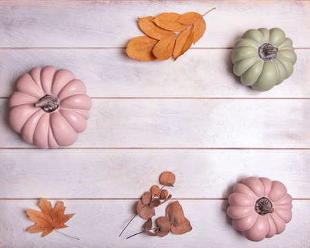 Autumn background with pink and green pumpkins and leaves in pastel shades, top view with copy spaceの写真素材