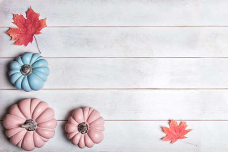 Autumn background with pink and blue pumpkins and leaves in pastel shades, top view with copy spaceの写真素材