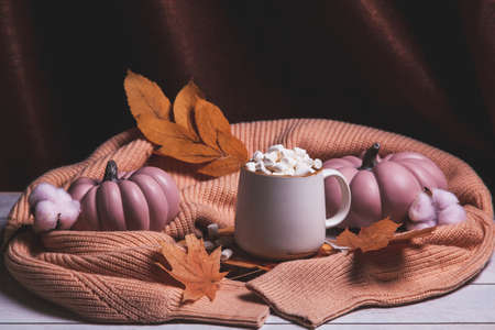 Autumn still life on light wooden background and brown textile with cocoa mug and marshmallows, pink pumpkins, autumn leaves, knitted sweater.の写真素材