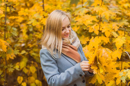 A woman holds maple yellow leaves in her hands in a park against a background of trees, enjoys autumn and nature. Authentic 40-year-old woman without retouchingの写真素材