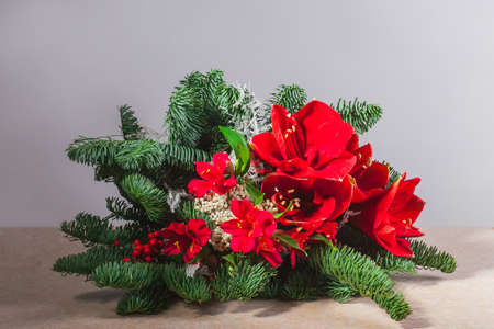 Large and beautiful winter bouquet with amaryllis, fir branches, alstroemeria Tstands against a white wall.の写真素材
