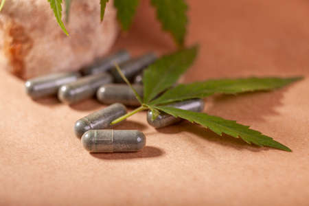 Capsules with hemp powder, branches with hemp leaves on craft paper and natural stone. Selective focusing, shallow depth of field, copy space.の写真素材