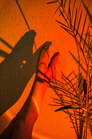 Women's legs pointing upwards, in the beam of a lamp projecting the sunset, and the shadows from the palm leaves of a house plant. Concept of skin care and foot healthの写真素材