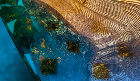 Epoxy resin table with transparent inserts and wooden base.