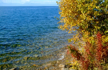 Autumn coloured trees at Baikal Lake coastの写真素材