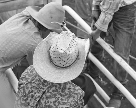 Rodeoの写真素材