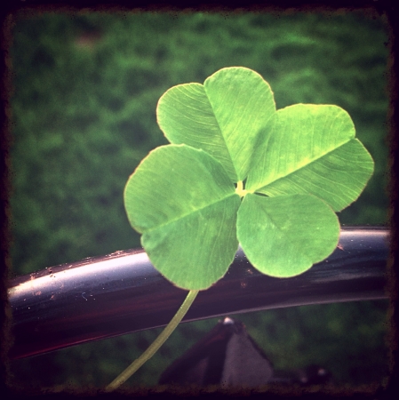 Four Leaf Clover
