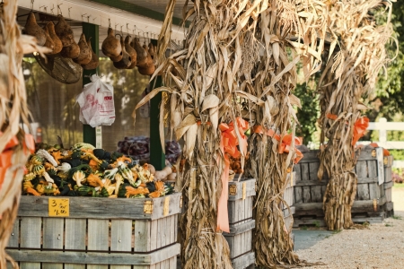 Limestone County Produce Standの写真素材