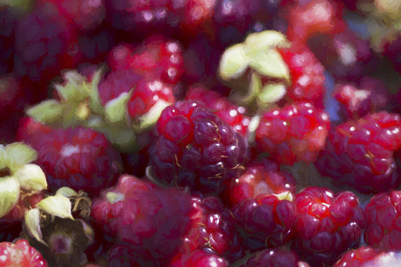 Digitally Painted Red Boysenberriesの写真素材