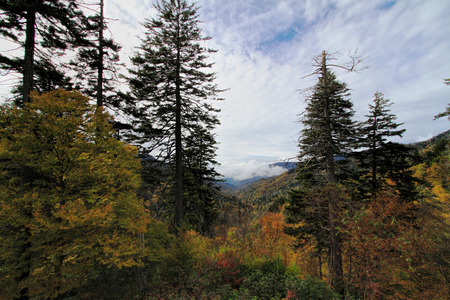 Great Smoky Mountain National Forest Parkの写真素材