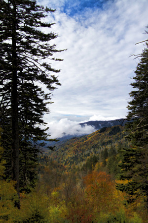 Great Smoky Mountain National Forest Landscapeの写真素材