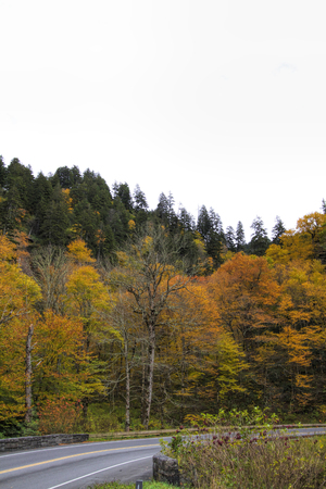 Great Smoky Mountains National Park Highway Fall Colorsの写真素材
