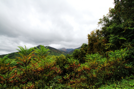 Great Smoky Mountains Autumn Landscapeの写真素材