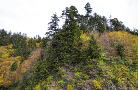 Great Smoky Mountains Autumn Landscape 2の写真素材