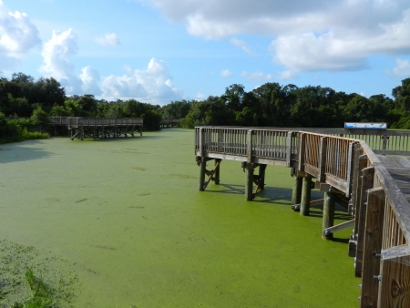 Piers on Green Lakeの写真素材