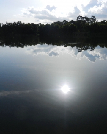 Morning sun reflected in Florida lakeの写真素材