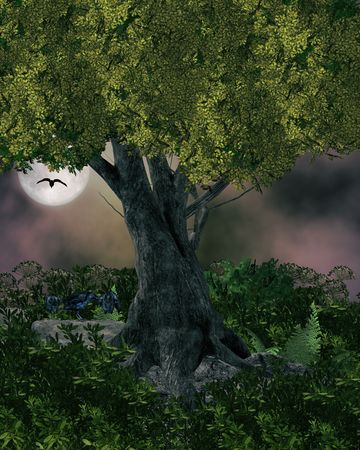 Outdoor forest backgroundの写真素材