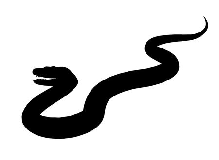 Black snake art illustration silhouette on a white backgroundの写真素材