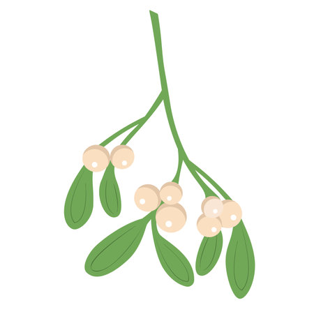 Branch of mistletoe with berries and red bow. A bouquet of Christmas. Vector illustrationのイラスト素材