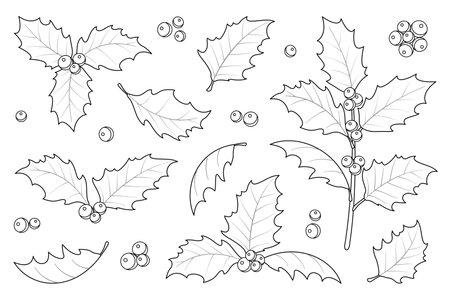 Christmas holly berry flat icon in cartoon style. Isolated on white background. Elements suitable for decorative Christmas festival, New year invitations, greeting cards.のイラスト素材