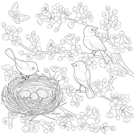 Family birds in a nest, in the branches of a blooming apple tree. Coloring page for kids and adults. Page for relaxation and meditation. Vector contour illustration.のイラスト素材