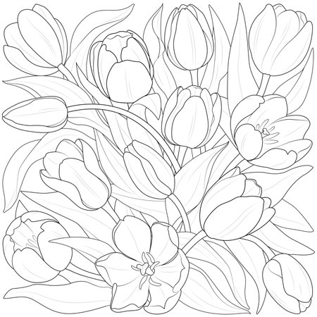 Tulips botanical background. vintage boho style for Coloring page, wall art, fabric, wedding invitation, cover design Black and white. Floral line art. Vector illustration.のイラスト素材