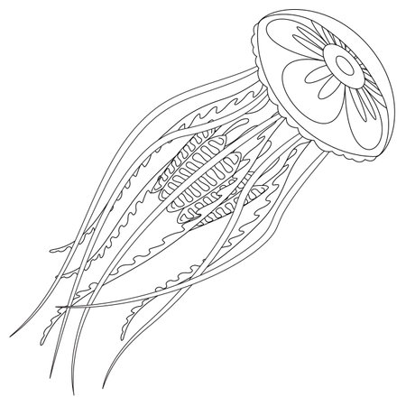 Jellyfish graphic black white isolated sketch illustration vector. Art therapy Coloring page for kids and adults.のイラスト素材