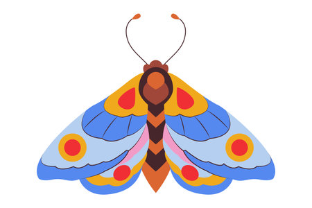Colorful Butterfly logo isolated. Butterfly illustration. Beautiful insects isolated on white background. Spring summer seasons butterfly. design element. Vector illustrationのイラスト素材