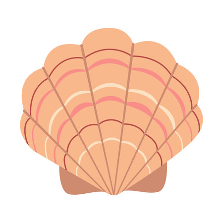 Hand drawn Scallop Seashell. Cartoon style flat illustration seashell isolated on white background....