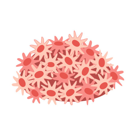 Sun Corals, sun polyps. Corals colonies. Tropical waters fauna. Hand drawn Exotic coral reef underwater nature life. Vector illustration in a flat style isoated on a white background.のイラスト素材