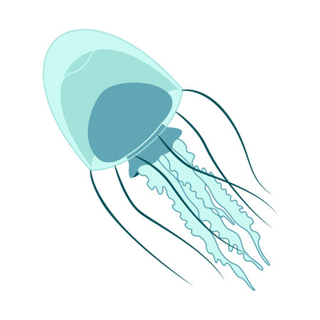 Cartoon jellyfish flat style. Medusa vector illustration. Modern flat illustration Jellyfish isolated on white background. Vector illustrationのイラスト素材