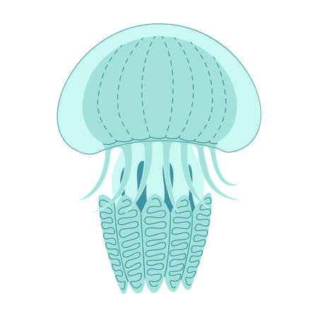 Cartoon jellyfish flat style. Medusa vector illustration. Modern flat illustration Jellyfish isolated on white background. Vector illustrationのイラスト素材