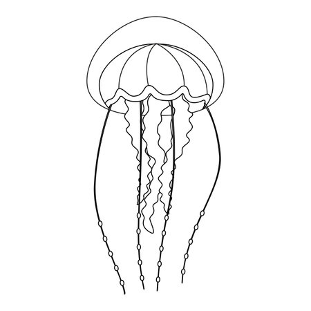 Jellyfish line art vector illustration. Black and white outline Jellyfish Coloring page for kids and adults. Page for relaxation and meditation. Vector illustrationのイラスト素材