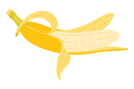 Cartoon Banana icon. Hand drawn ripe peeled banana, trendy flat style yellow fruit. Tropical fruit, banana snack or vegetarian nutrition. Isolated on white Vector illustrationのイラスト素材